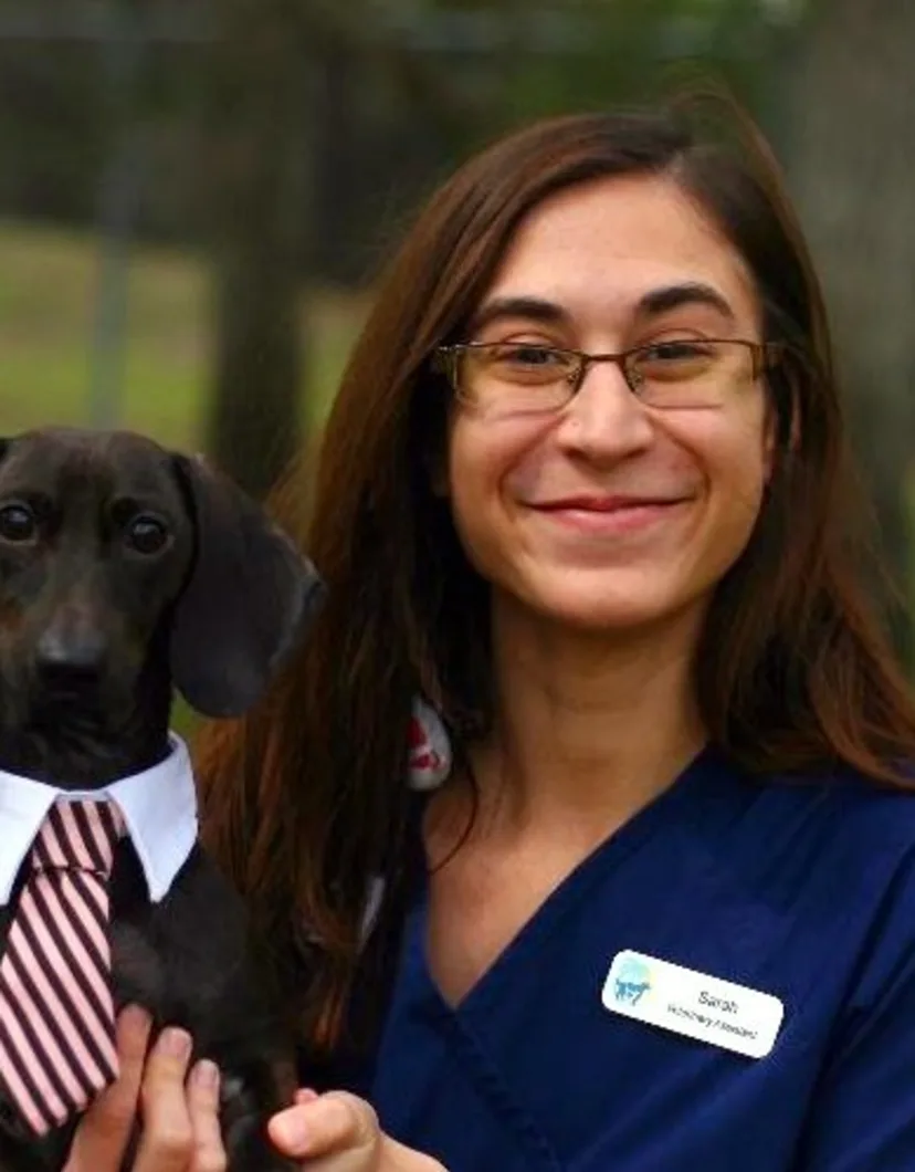 Sarah M. staff photo with dog with a tie on